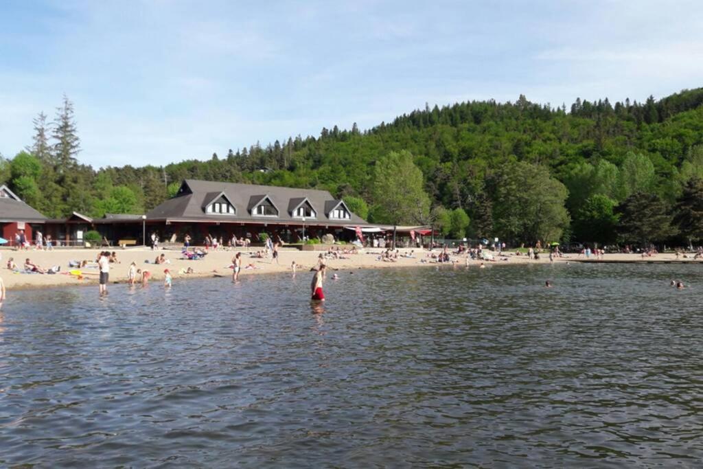 Cure Thermale Ou Vacances D'Ete Au Mont Dore Eksteriør billede